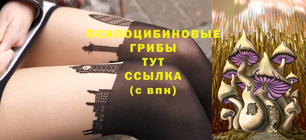 прущие крисы Мегион