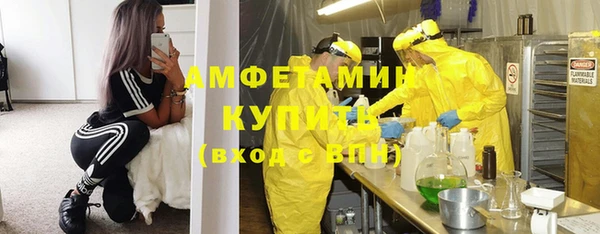 крисы Баксан