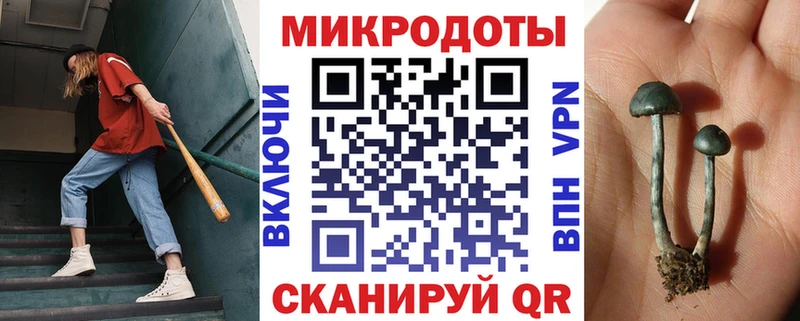 Псилоцибиновые грибы Psilocybine cubensis  как найти закладки  Богородицк 