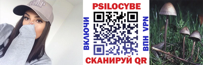 Псилоцибиновые грибы мухоморы Богородицк